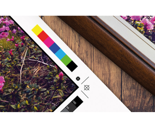 Epson SureColor SC-P9500
