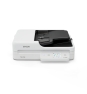 Epson WorkForce DS-1760WN Escáner plano y alimentador automático de documentos (ADF, Automatic Document Feeder) 1200 x 1200 DPI A4 Negro, Blanco