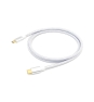 Equip 128358 Cable USB 3.2 Gen 2 C a C, M/M, 2,0m, PD 100W , 4K/60Hz, 10Gbps, Blanco