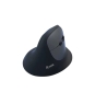 Equip 245120 ratón Universal mano derecha RF Wireless + Bluetooth Óptico 1600 DPI