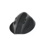 Equip 245120 ratón Universal mano derecha RF Wireless + Bluetooth Óptico 1600 DPI