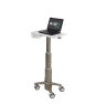 Ergotron C50-1100-0 soporte para ordenador portátil Gris 39,6 cm (15.6
