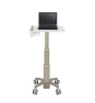 Ergotron C50-1100-0 soporte para ordenador portátil Gris 39,6 cm (15.6