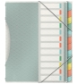 Esselte 626256 lengüeta de índice Separador en blanco con pestaña Polipropileno (PP) Multicolor