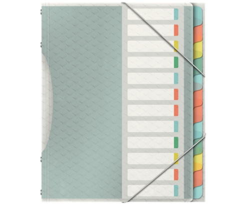 Esselte 626256 lengüeta de índice Separador en blanco con pestaña Polipropileno (PP) Multicolor