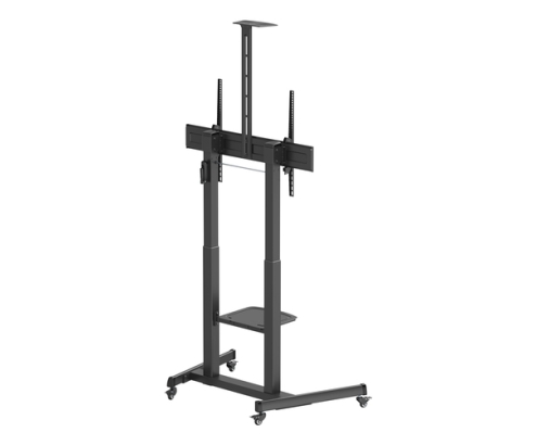 Ewent EW1591 soporte para TV 2,54 m (100