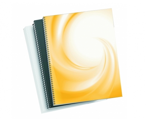 FELLOWES 5110001 ESPIRALES METALICAS 6MM CAJA 100 UNIDADES PARA MAQUINAS DE PASO 5:1 - 59 AGUJEROS