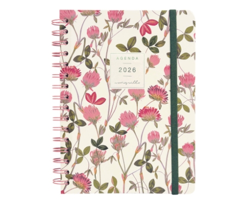 Finocam 770100126 agenda personal Diario escolar 2026