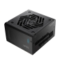 FSP VITA GM 1000W Unidad de fuente de alimentación ATX ATX3.1 Negro