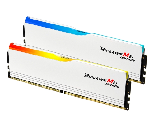 G.Skill Ripjaws M5 RGB F5-6000J3636F16GX2-RM5NRW módulo de memoria 32 GB 2 x 16 GB DDR5 288-pin DIMM