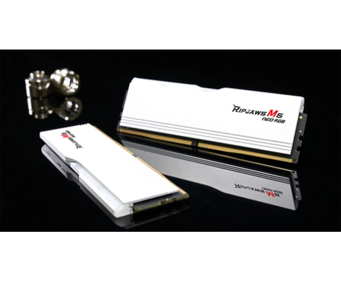 G.Skill Ripjaws M5 RGB F5-6000J3636F16GX2-RM5NRW módulo de memoria 32 GB 2 x 16 GB DDR5 288-pin DIMM