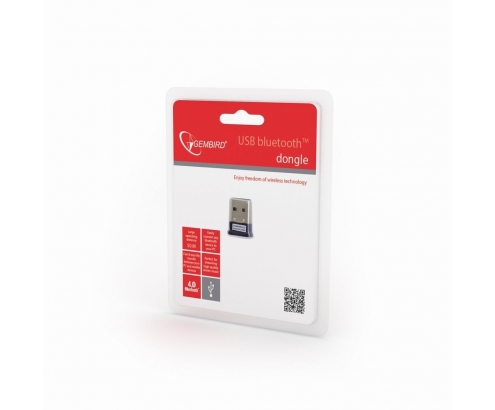 GEMBIRD adaptador y tarjeta de red Bluetooth 24 Mbit/s USB 2.0 Negro, Plata