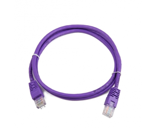 Gembird RJ45/RJ45 Cat5e 0.5m cable de red Púrpura 0,5 m U/UTP (UTP)