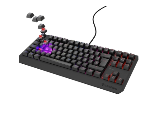 GENESIS Thor 230 TKL teclado Juego USB QWERTY Español Negro