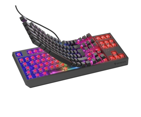 GENESIS Thor 230 TKL teclado Juego USB QWERTY Español Negro
