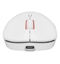 GENESIS Zircon XIII ratón Juego Ambidextro RF Wireless + USB Type-C Óptico 26000 DPI
