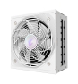 GIGABYTE AORUS ELITE P1000W ICE Fuente de Alimentación - PCIe 5.0, 80 PLUS Platinum, Diseño completamente modular, Ventilador de 120 mm, Compatible 