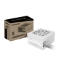 GIGABYTE P550SS ICE Fuente de Alimentación - PCIe 5.0, 80 PLUS Silver, Ventilador de 120 mm, Compatible con ATX 3.0, Enchufe EU