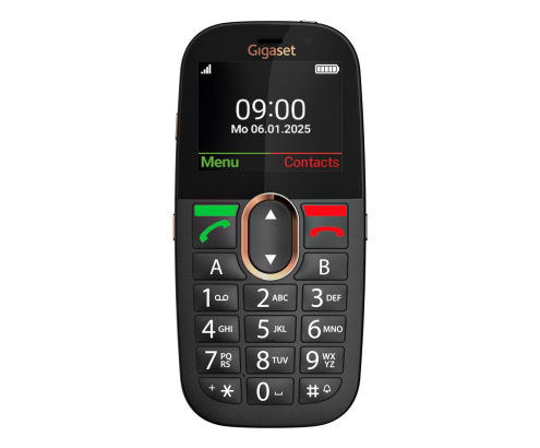 Gigaset GL695 5,87 cm (2.31