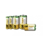 GP Batteries Super Alkaline 5501 pila doméstica Batería de un solo uso D Alcalino