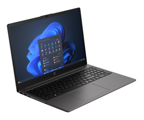 HP 250R 15.6 inch G10 Notebook PC Intel Core 3 100U Portátil 39,6 cm (15.6