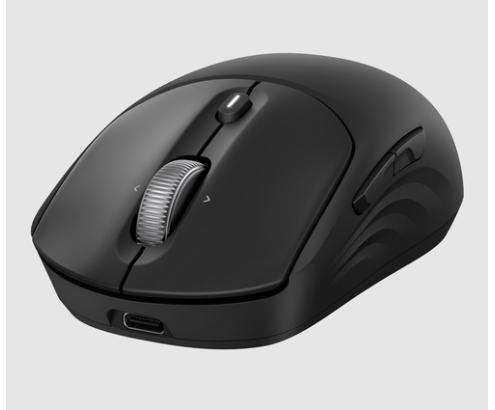 HP Ratón inalámbrico recargable 700