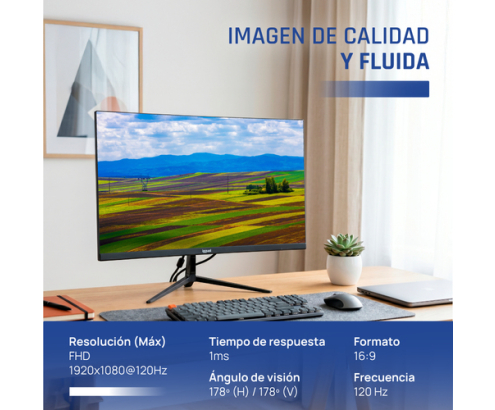 iggual Monitor 24