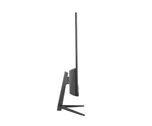 iggual Monitor 24