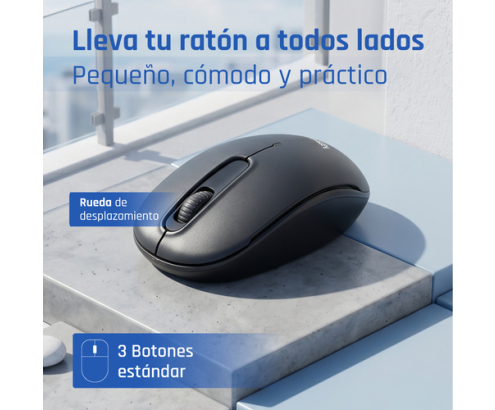 iggual WOM-STANDARD-3D 1000DPI ratón Oficina Ambidextro RF inalámbrico Óptico