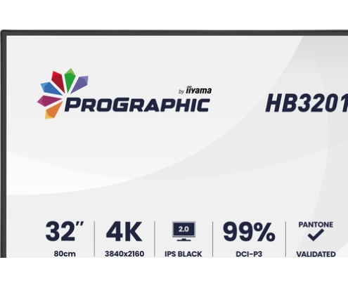 iiyama ProGraphic HB3201UHSNP-B1 pantalla para PC 80 cm (31.5