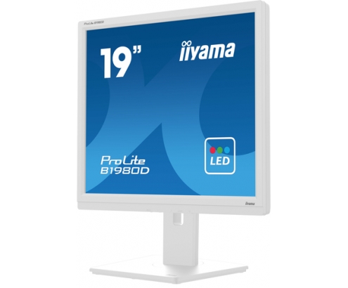iiyama ProLite B1980D-W5 pantalla para PC 48,3 cm (19