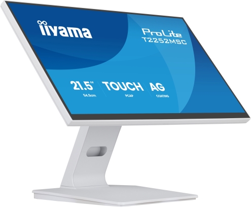 iiyama ProLite T2252MSC-W2AG pantalla para PC 54,5 cm (21.4