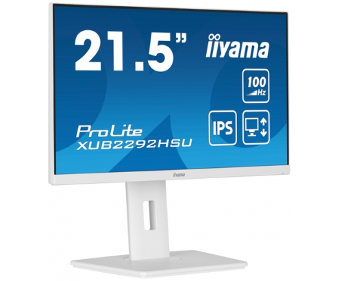 iiyama ProLite XUB2292HSU-W6 21.5