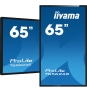 iiyama T6562AS-B1 pantalla de señalización Panel plano interactivo 163,8 cm (64.5