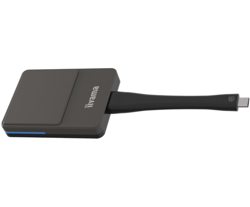 iiyama WP D002C adaptador Smart TV USB 4K Ultra HD Negro, Plata