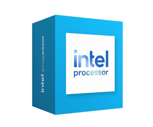 Intel 300 procesador 6 MB Smart Cache Caja