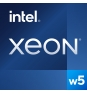 Intel Xeon w5-2465X procesador 3,1 GHz 33,75 MB Smart Cache Caja