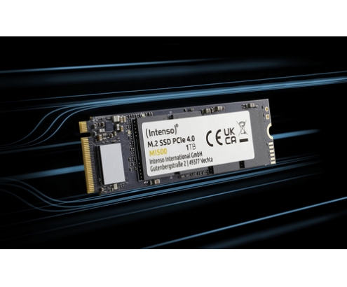 Intenso 3836450 unidad de estado sólido M.2 500 GB PCI Express 4.0 NVMe