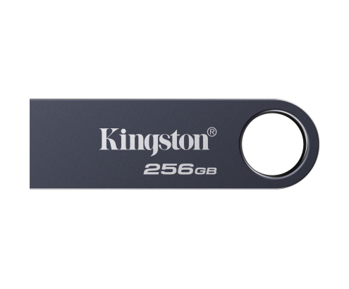 Kingston Technology DataTraveler 256 GB SE9 G3 - Níquel oscuro