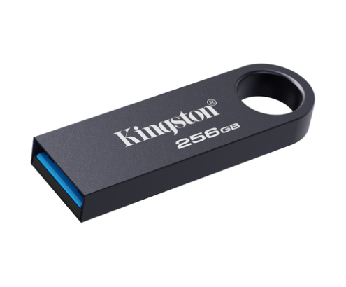 Kingston Technology DataTraveler 256 GB SE9 G3 - Níquel oscuro