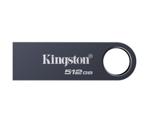 Kingston Technology DataTraveler 512 GB SE9 G3 - Níquel oscuro