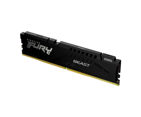 Kingston Technology FURY Beast módulo de memoria 32 GB 1 x 32 GB DDR5 5600 MHz