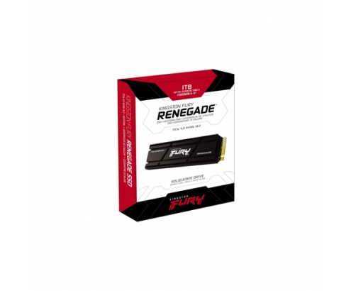 Kingston Technology FURY Renegade M.2 1000 GB PCI Express 4.0 3D TLC NVMe