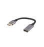 Lanberg AD-DP-HD-02 adaptador de cable de vídeo 0,2 m DisplayPort HDMI Plata