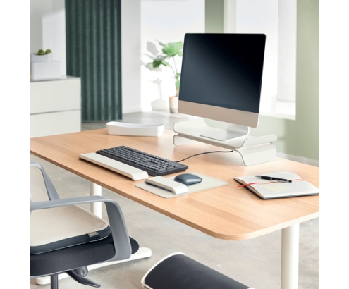 Leitz 65400085 cojín Gris