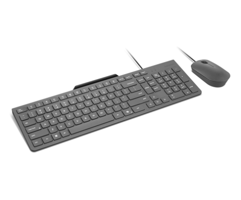 Lenovo GX31R09794 teclado Ratón incluido Hogar / Oficina USB Español Gris