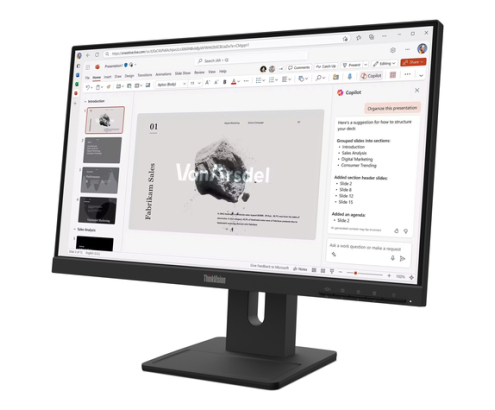 Lenovo ThinkVision E22-40 Monitor