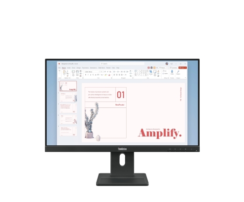 Lenovo ThinkVision E24-40 LED display 60,5 cm (23.8