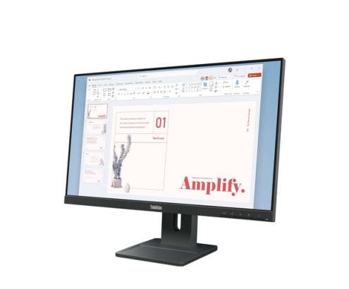Lenovo ThinkVision E24-40 LED display 60,5 cm (23.8