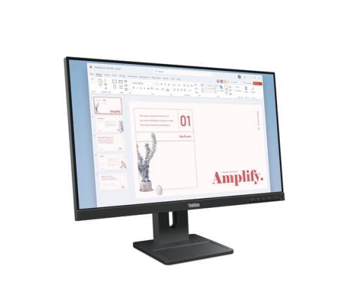 Lenovo ThinkVision E24-40 LED display 60,5 cm (23.8